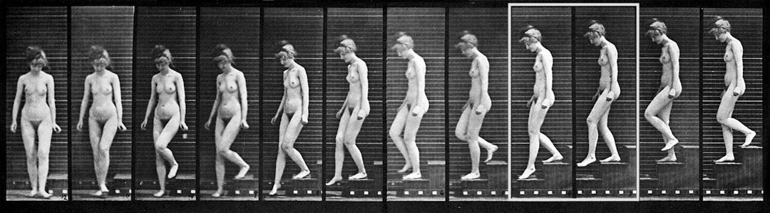 Muybridge: