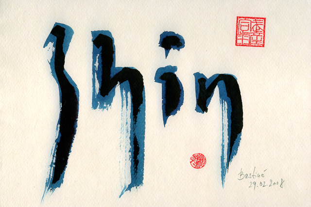 Shin 2008